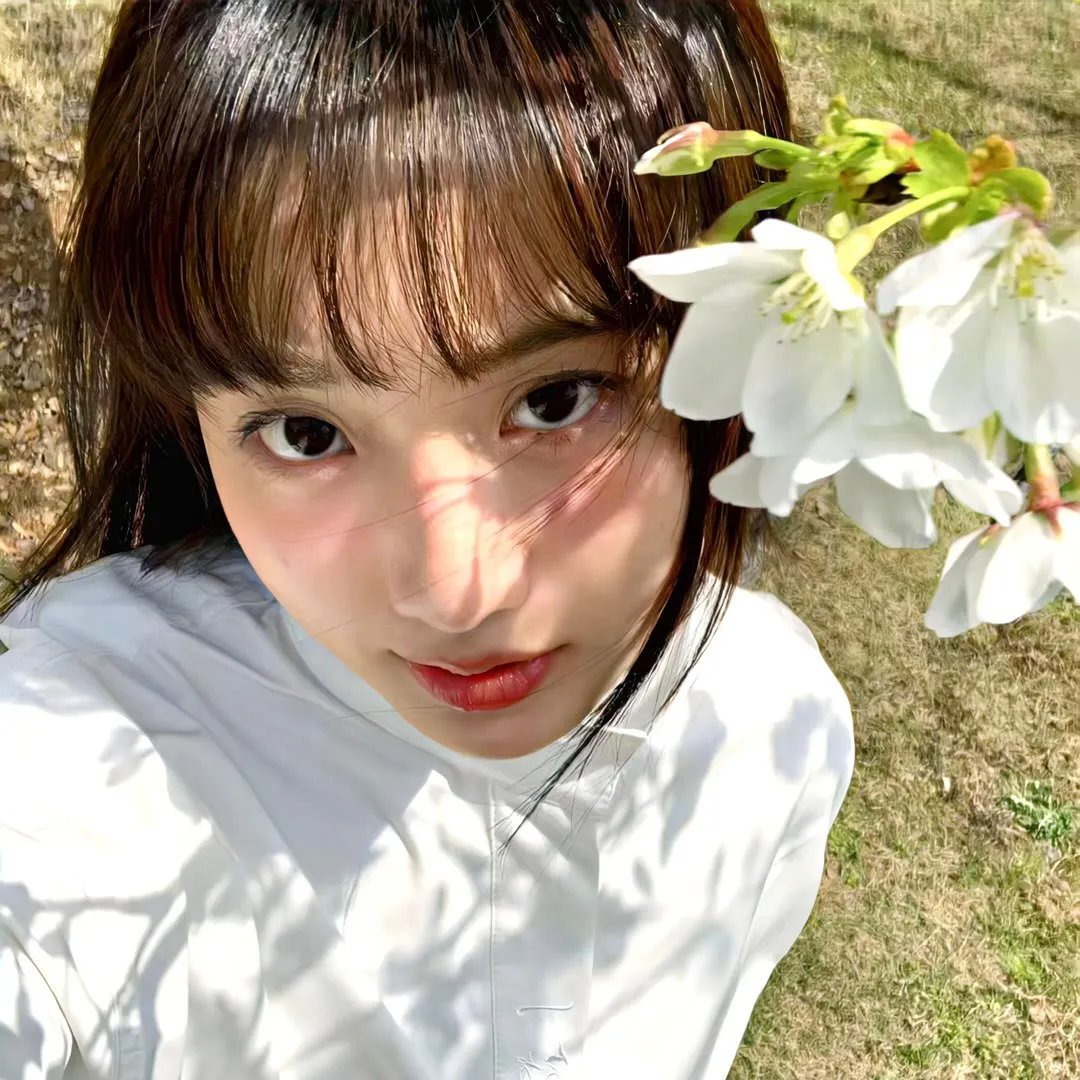 苏助理只想带崽跑路